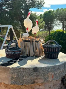 ciguenas-en-jardin_2