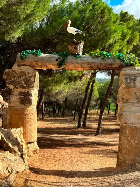 entrada-ciguena