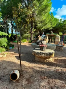 jardin