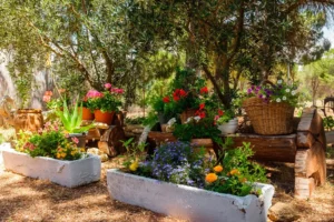 jardin2